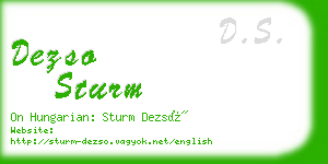 dezso sturm business card